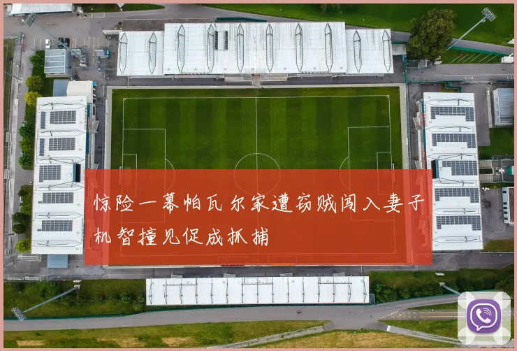 惊险一幕帕瓦尔家遭窃贼闯入妻子机智撞见促成抓捕