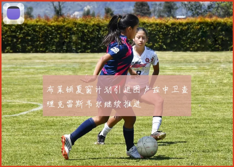 布莱顿夏窗计划引进图卢兹中卫查理克雷斯韦尔继续推进