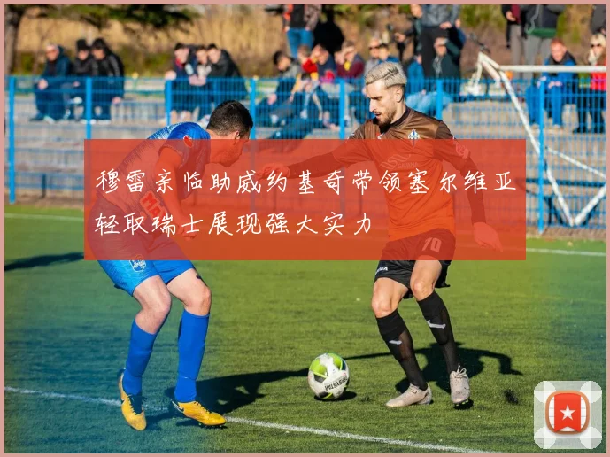 穆雷亲临助威约基奇带领塞尔维亚轻取瑞士展现强大实力